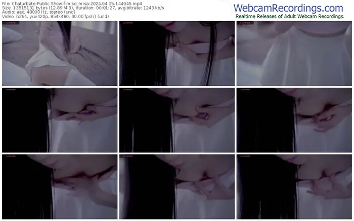 2024/04/25/chaturbate-miso_misa-14-40-45
