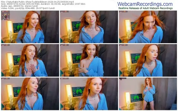 2024/04/25/chaturbate-udeledobson-09-00-44