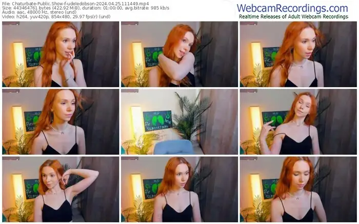 2024/04/25/chaturbate-udeledobson-11-14-49