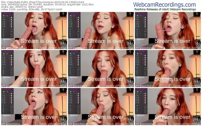 2024/04/26/chaturbate-foxylovesyou-13-06-22