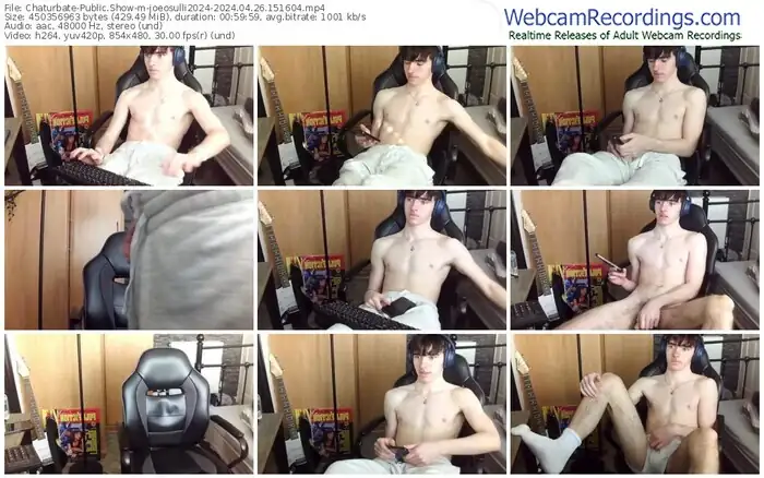 2024/04/26/chaturbate-joeosulli2024-15-16-04