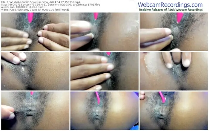 2024/04/27/chaturbate-mocha_-15-33-06