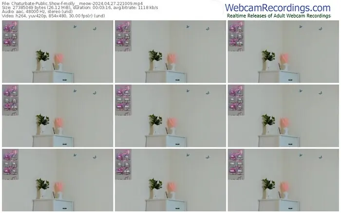 2024/04/27/chaturbate-molly__meow-22-10-09