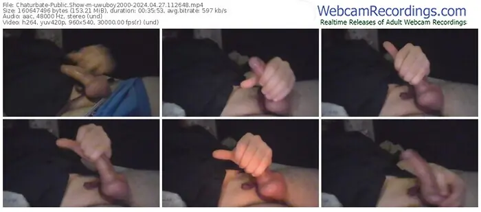 2024/04/27/chaturbate-uwuboy2000-11-26-48