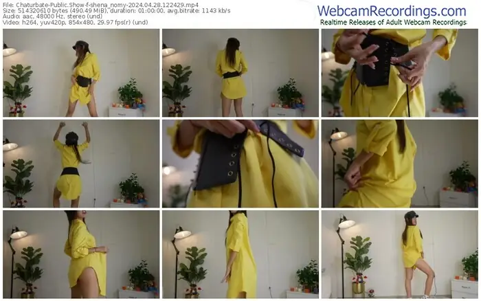 2024/04/28/chaturbate-shena_nomy-12-24-29