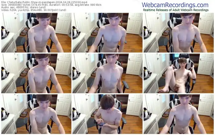 2024/04/28/chaturbate-pandapen-22-53-30