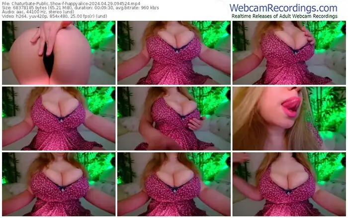 2024/04/29/chaturbate-happyalice-09-45-24