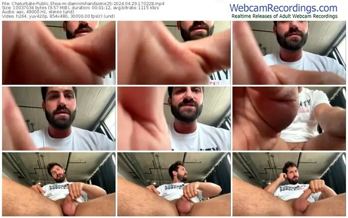 2024/04/29/chaturbate-damnimhandsome25-17-02-28