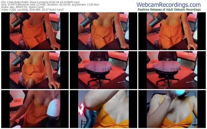 2024/04/29/chaturbate-ynaong-04-38-45