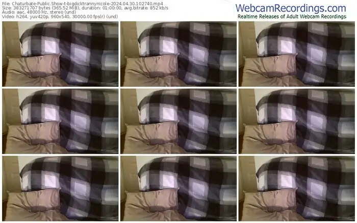 2024/04/30/chaturbate-bigdicktrannynicole-10-27-40
