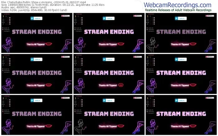 2024/05/01/chaturbate-minions_-06-02-27