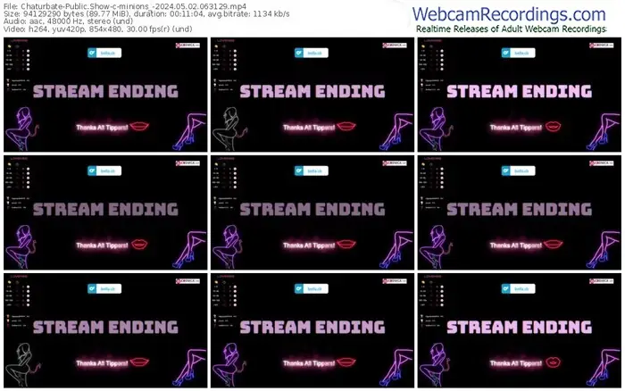 2024/05/02/chaturbate-minions_-06-31-29