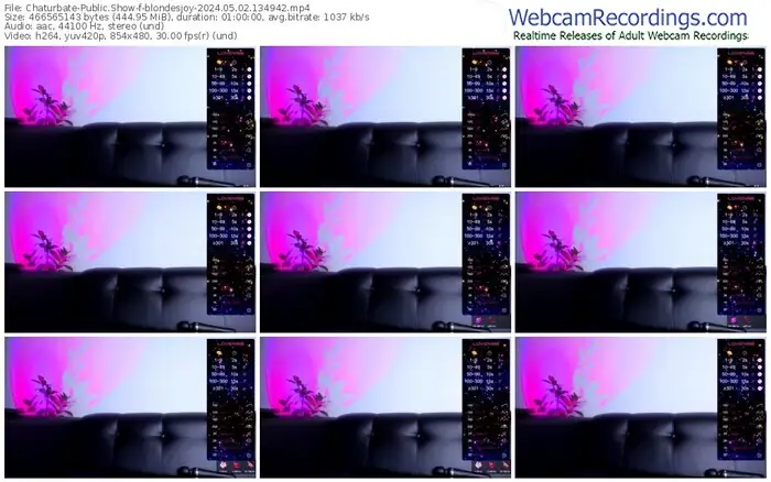 2024/05/02/chaturbate-blondesjoy-13-49-42