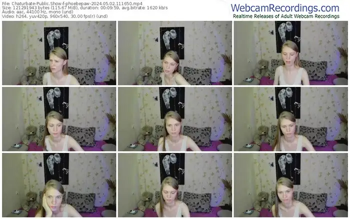 2024/05/02/chaturbate-phoebepaw-11-16-50