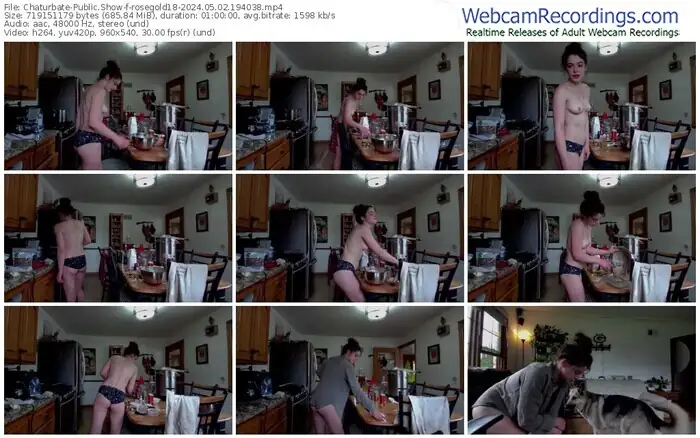2024/05/02/chaturbate-rosegold18-19-40-38