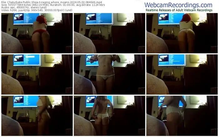2024/05/02/chaturbate-raging_whore_moans-08-46-46