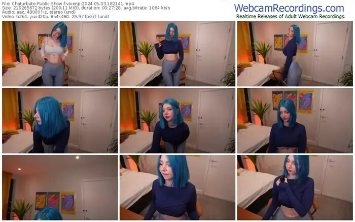 2024/05/03/chaturbate-vixenp-18-21-41