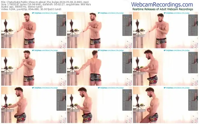 2024/05/08/chaturbate-about_the_bulge-21-46-01