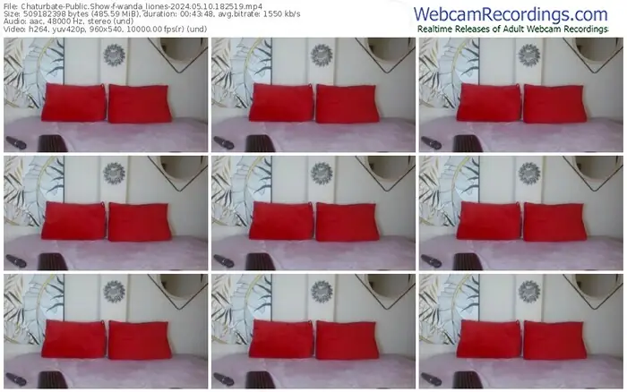 2024/05/10/chaturbate-wanda_liones-18-25-19