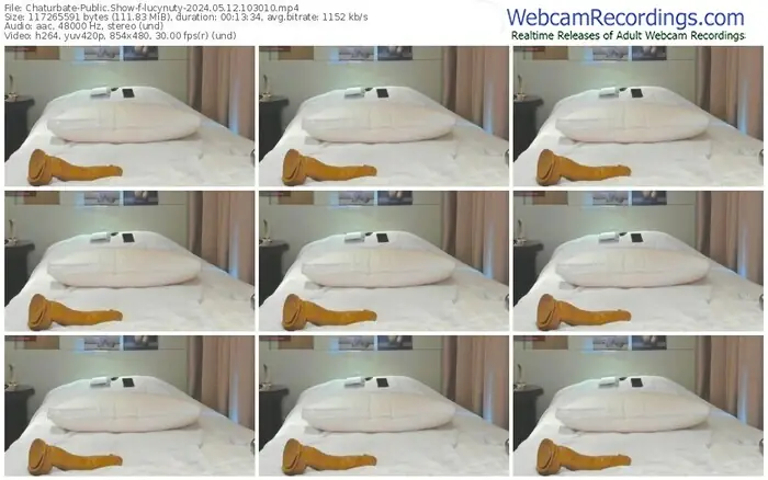 2024/05/12/chaturbate-lucynuty-10-30-10