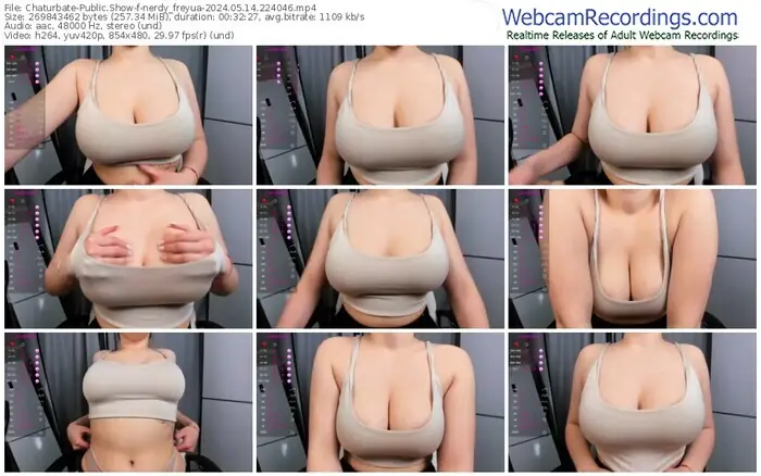2024/05/14/chaturbate-nerdy_freyua-22-40-46