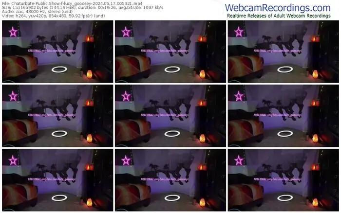 2024/05/17/chaturbate-lucy_gooosey-00-53-21