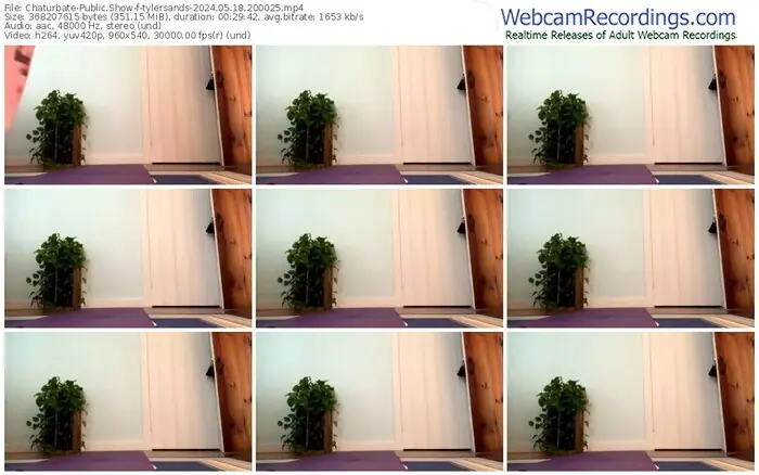 2024/05/18/chaturbate-tylersands-20-00-25