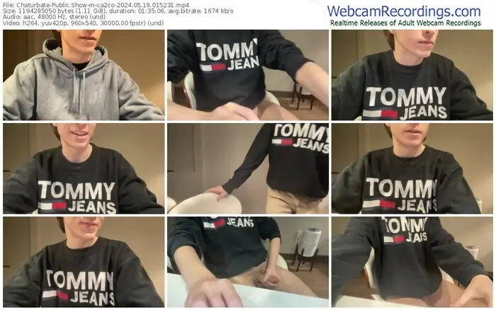 2024/05/19/chaturbate-ca2co-01-52-31