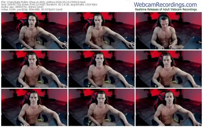 2024/05/19/chaturbate-dirty_pothos-23-55-16