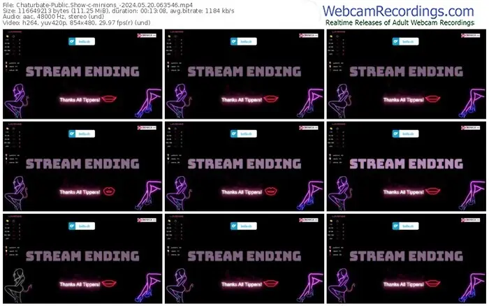 2024/05/20/chaturbate-minions_-06-35-46