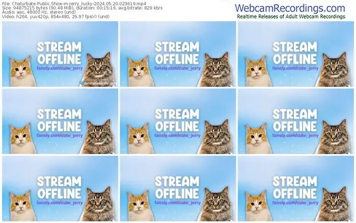 2024/05/20/chaturbate-jerry_lucky-02-36-19
