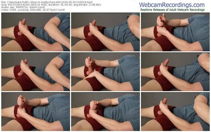 2024/05/20/chaturbate-teddychance99-16-30-18