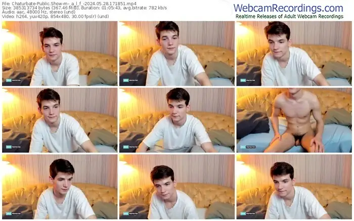 2024/05/28/chaturbate-_a_l_f_-17-18-51