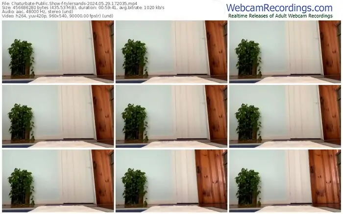 2024/05/29/chaturbate-tylersands-17-20-35