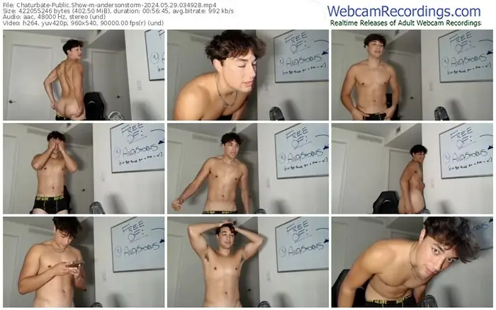 2024/05/29/chaturbate-andersonstorm-03-49-28