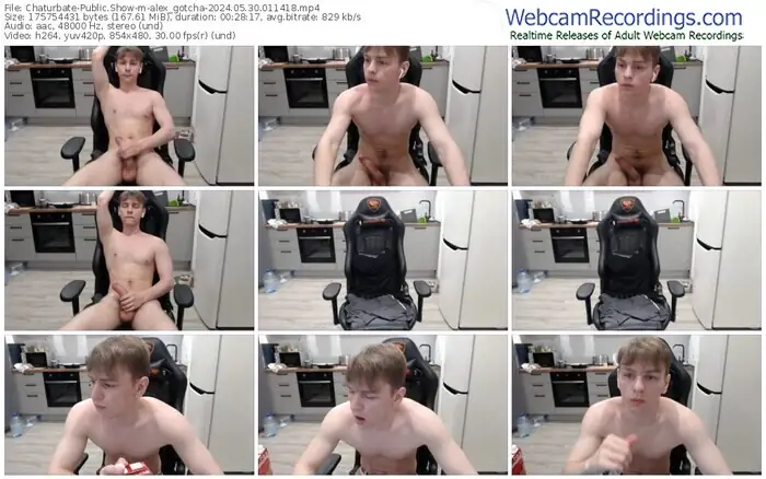 2024/05/30/chaturbate-alex_gotcha-01-14-18