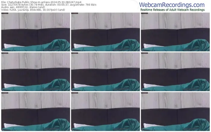 2024/05/30/chaturbate-arilass-08-02-47