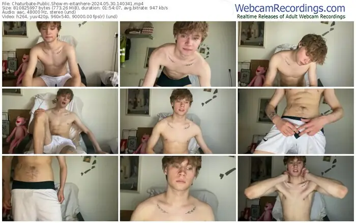 2024/05/30/chaturbate-eitanhere-14-03-41