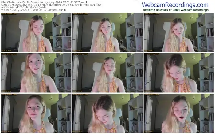 2024/05/31/chaturbate-fairy_casey-21-32-25