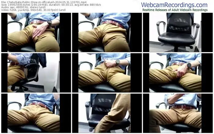 2024/05/31/chaturbate-officelush-13-37-01
