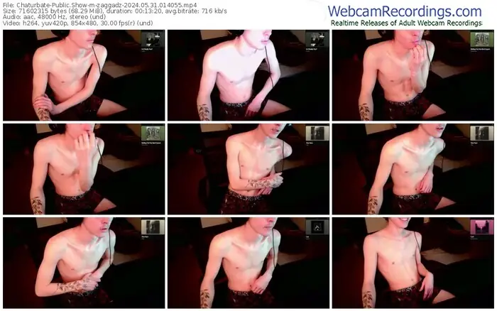 2024/05/31/chaturbate-zaggadz-01-40-55