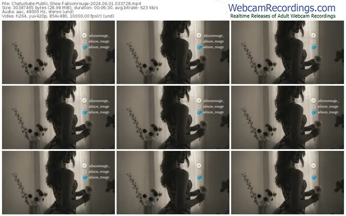 2024/06/01/chaturbate-alisonrouge-03-37-28