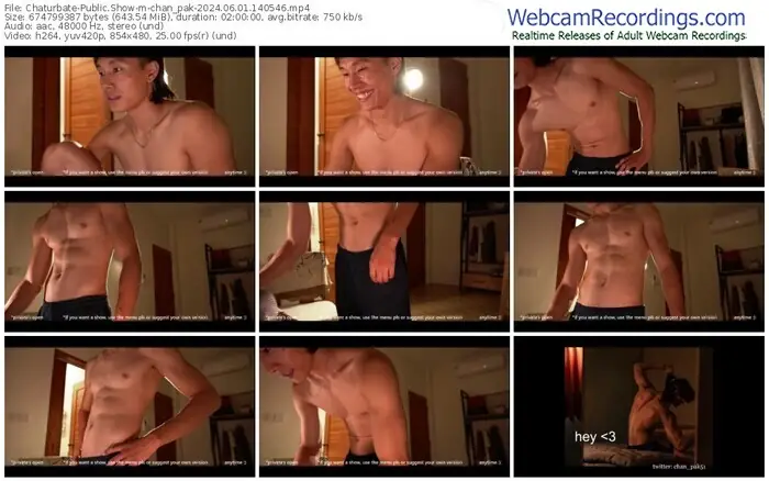 2024/06/01/chaturbate-chan_pak-14-05-46