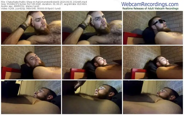 2024/06/01/chaturbate-hairymonsterdickerik-16-24-45