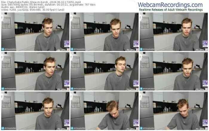 2024/06/02/chaturbate-borsh_-17-20-51