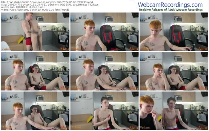 2024/06/03/chaturbate-passionprince69-22-37-33