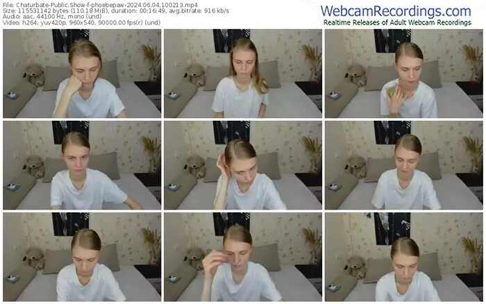 2024/06/04/chaturbate-phoebepaw-10-02-13