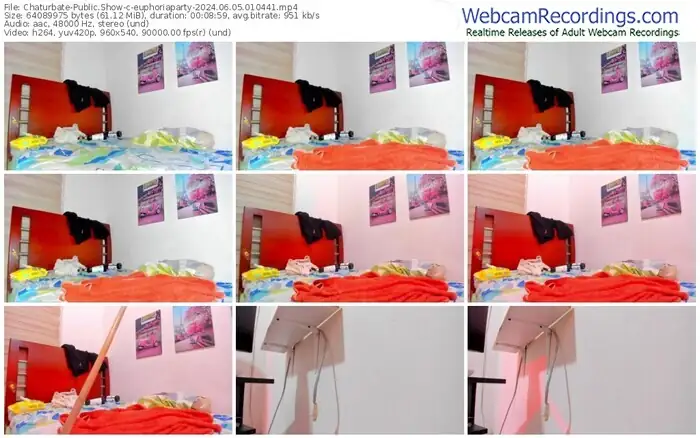 2024/06/05/chaturbate-euphoriaparty-01-04-41