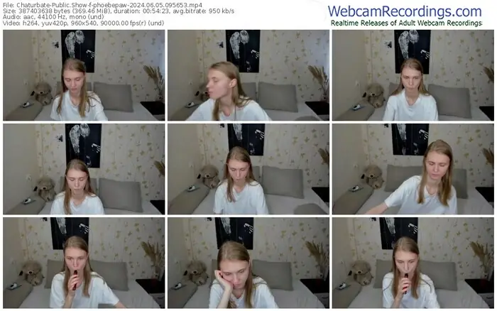 2024/06/05/chaturbate-phoebepaw-09-56-53