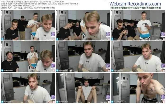 2024/06/05/chaturbate-borsh_-19-30-04